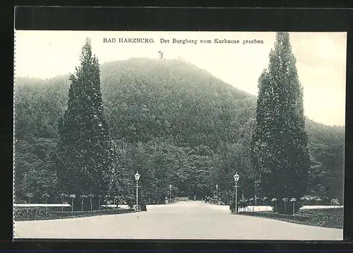 AK Bad Harzburg, Burgberg vom Kurhause gesehen