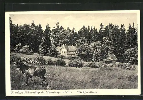 AK Ilsenburg / Harz, Gasthaus Plessenburg mit Hirsch