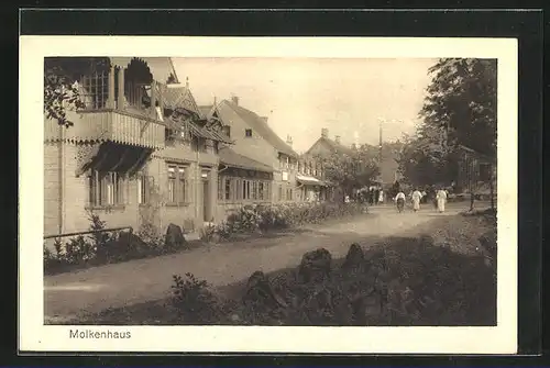 AK Bad Harzburg, Molkenhaus am Brockenwege