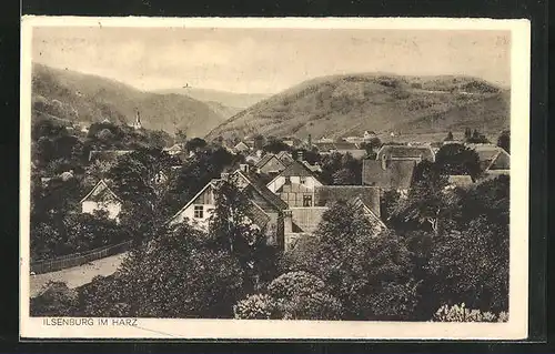 AK Ilsenburg / Harz, Gesamtansicht