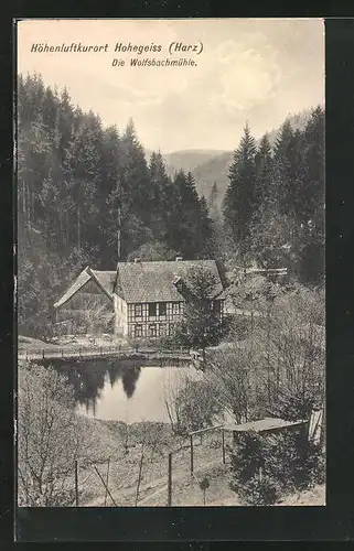 AK Hohegeiss / Harz, Blick auf die Wolfbachsmühle