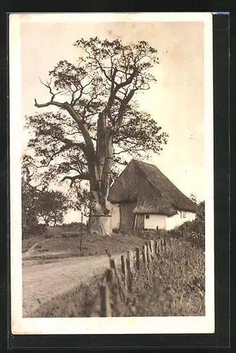 AK Israelsdorf, Haus mit Strasse