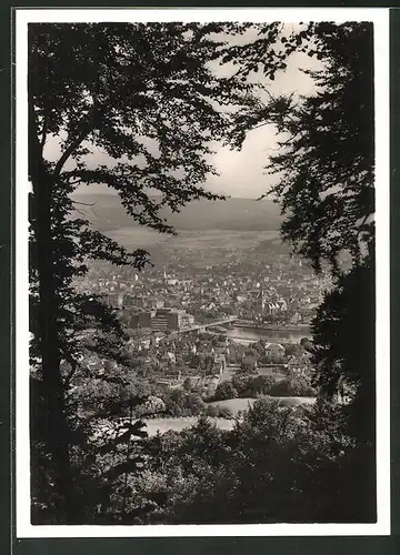 AK Hameln, Panoramablick vom Klüt