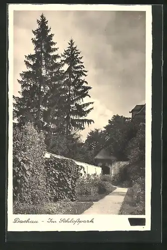 AK Dachau, im Schlosspark
