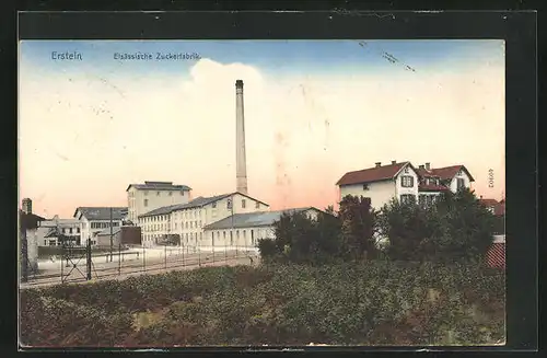 AK Erstein, Elsässische Zuckerfabrik