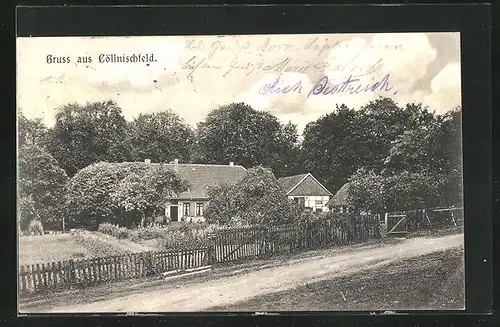 AK Cöllnischfeld, Bauernhaus mit Garten am Waldrand
