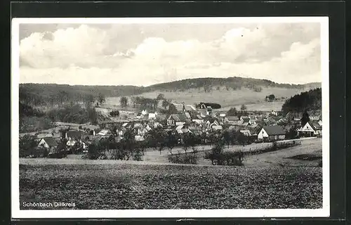 AK Schönbach / Dillkreis, Panoramablick von der Bergwiese