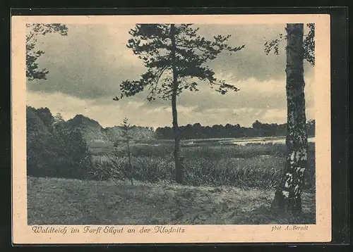 AK Klodnitz, Waldteich im Forst Ellgut