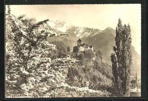 AK Vaduz, Schloss mit Gebirgswand