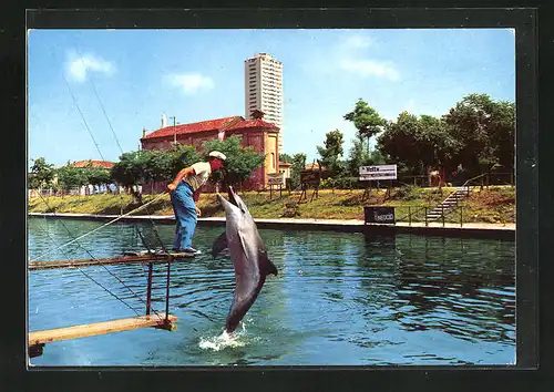 AK Cesenatico, Aquarium con delfino