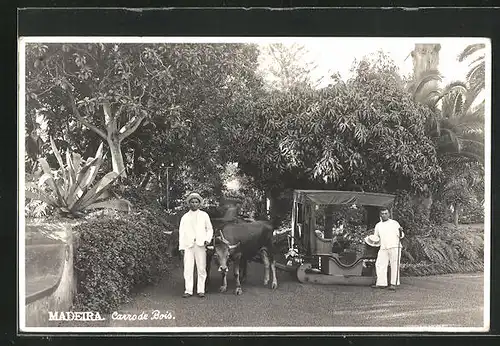 AK Madeira, Carro de Bois