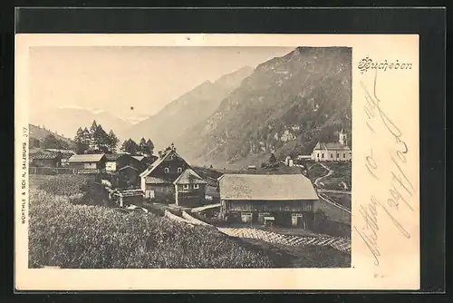 AK Rauris, Ortspartie im Gebirge, Bucheben