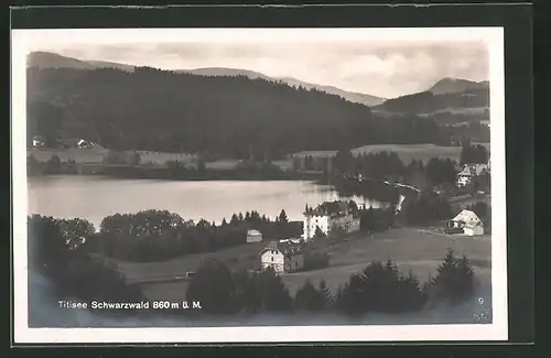 AK Titisee / Schwarzwald, Panorama