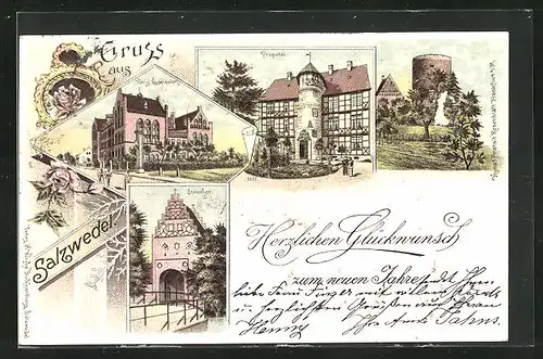 Lithographie Salzwedel, Propstei, Steintor, Königl. Gymnasium, Mönchskirche und Burg