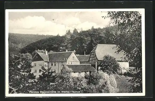 AK Weilrod / Taunus, Pension Mappesmühle