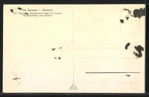 AK Sao Miguel, Mananciaes Vapor de Furnas