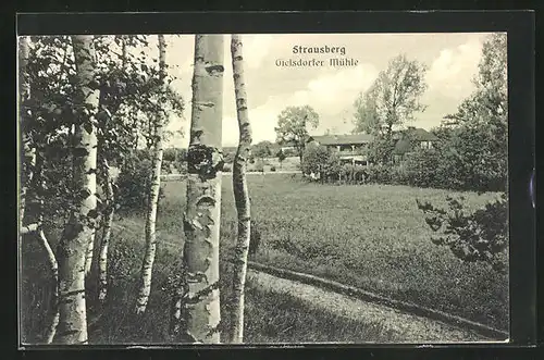 AK Strausberg, Blick zur Gielsdorfer Mühle