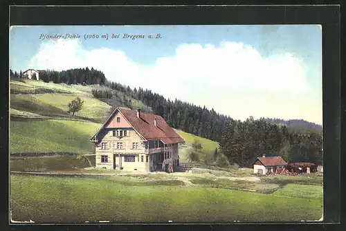 AK Bregenz, Pfänder-Dohle