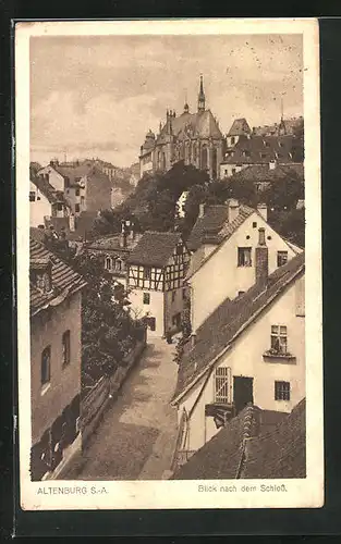 AK Altenburg S.-A., Blick nach dem Schloss