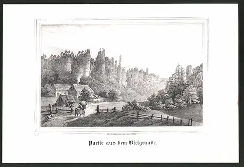 Lithographie Bielgrund, Partie mit Felsformationen, Lithographie um 1835 aus Saxonia