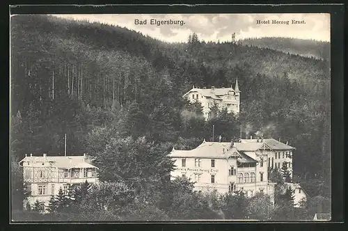 AK Bad Elgersburg, Hotel Herzog Ernst