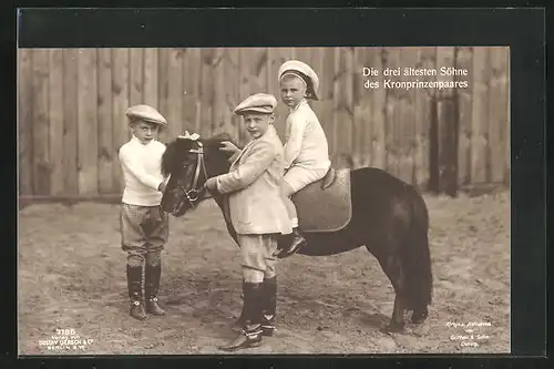 AK Söhne von Kronprinz Wilhelm von Preussen mit Pony