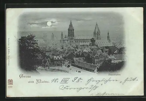 Mondschein-AK Mainz, Panorama