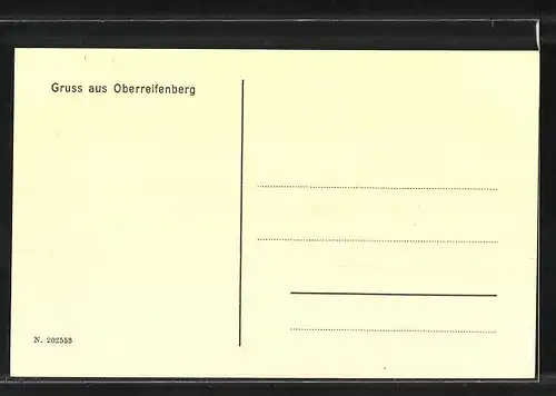 AK Oberreifenberg /Taunus, Hotel Bassenheimer Hof von C. M. Bienewald