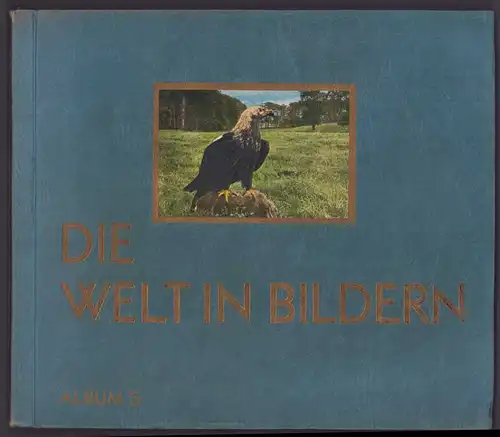Sammelalbum 180 Bilder, Die Welt in Bildern Album 5 Deutsche Vögel, Adler, Eule, Falke, Specht, Krähe