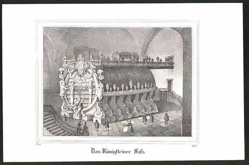 Lithographie Königstein, Das Königsteiner Fass, Lithographie um 1835 aus Saxonia, 28 x 19cm