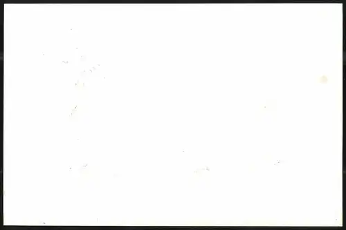 Lithographie Zittau, Gesamtansicht mit Kirchen, Lithographie um 1835 aus Saxonia, 28 x 19cm