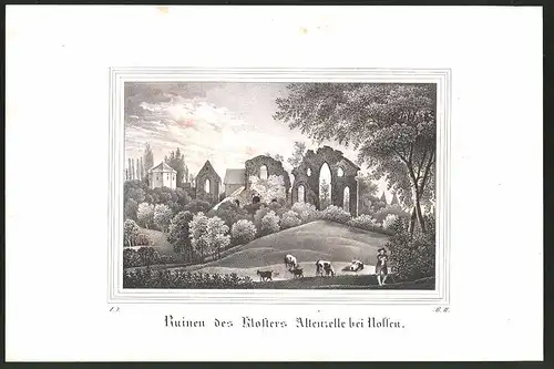 Lithographie Nossen, Ruinen des Klosters Altenzelle, Lithographie um 1835 aus Saxonia, 28 x 19cm
