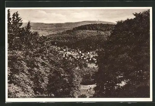 AK Schmitten i. Ts., Teilansicht