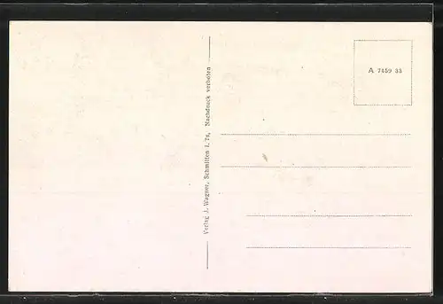 AK Schmitten i. Ts., Teilansicht