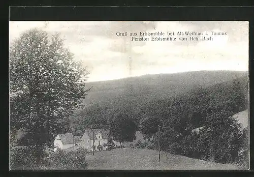 AK Altweilnau i. T., Hotel-Pension Erbismühle von Hch. Bach