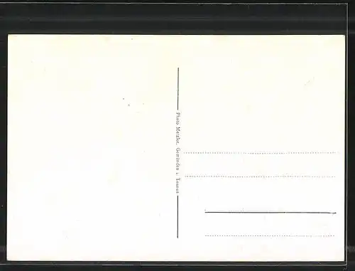 AK Seelenberg i. Taunus, Kolonialwarenhandlung v. H. Conradi, Schule, Totalansicht