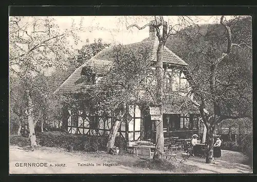 AK Gernrode a. Harz, Gasthaus Talmühle im Hagental