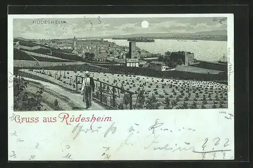 Mondschein-Lithographie Rüdesheim, Ortsansicht in der Nacht