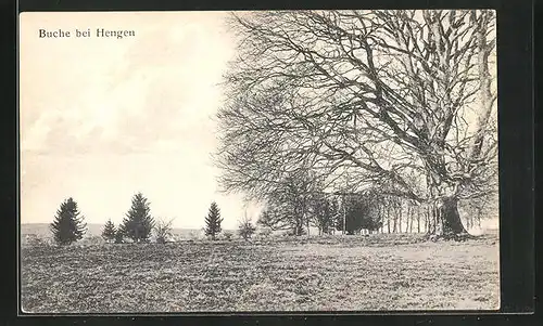 AK Hengen, Die grosse Buche im Winter