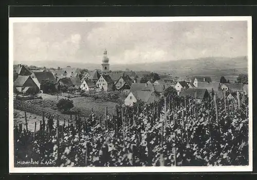 AK Hohenfeld a. Main, Gesamtansicht