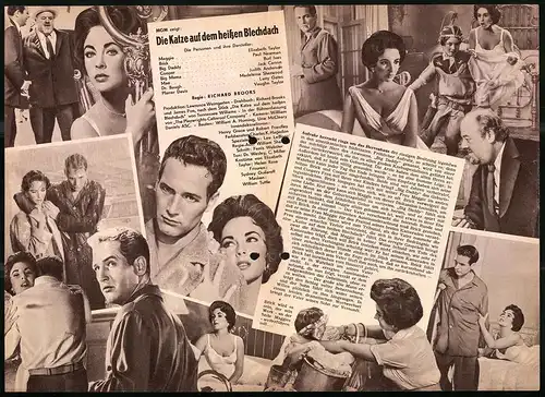 Filmprogramm DNF Nr. 4299, Die Katze auf dem heissen Blechdach, Elizabeth Taylor, Paul Newman, Regie: Richard Brooks