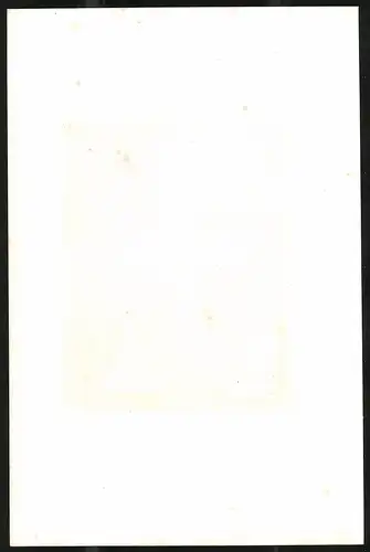Lithographie Meissen, Das Innere des Domes, Lithographie um 1835 aus Saxonia, 28 x 19cm