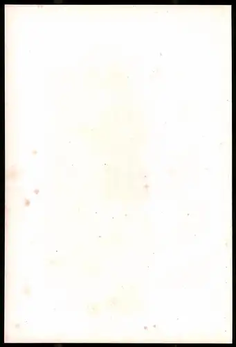 Lithographie Gustav Friedrich Dinter, Lithographie um 1835 aus Saxonia, 28 x 19cm