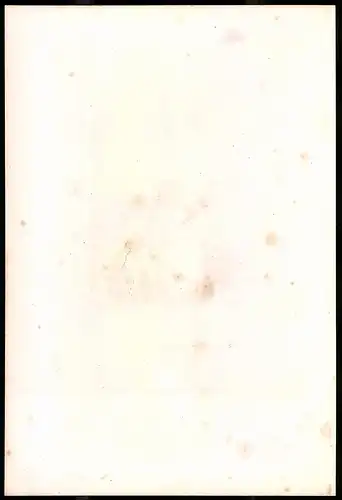 Lithographie Heilige Elisabeth Landgräfin von Thüringen, Lithographie um 1835 aus Saxonia, 28 x 19cm
