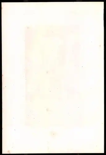 Lithographie Friedrich der Streitbare, Lithographie um 1835 aus Saxonia, 28 x 19cm