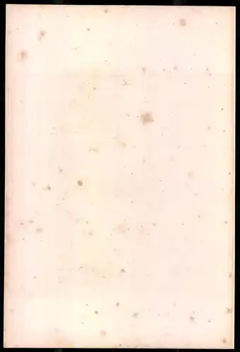 Lithographie Johann Gottlieb Seume, Lithographie um 1835 aus Saxonia, 28 x 19cm
