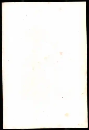 Lithographie Grabmal Conrad des Grossen, Lithographie um 1835 aus Saxonia, 28 x 19cm