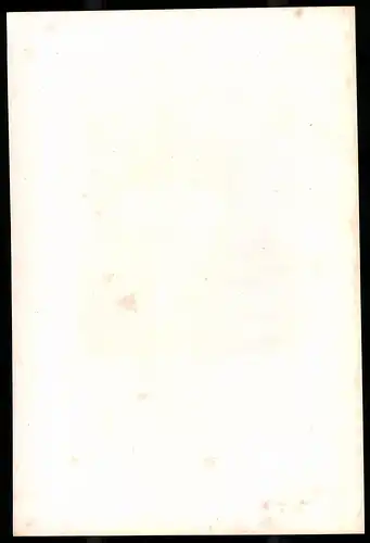 Lithographie Friedrich der Weise, Lithographie um 1835 aus Saxonia, 28 x 19cm