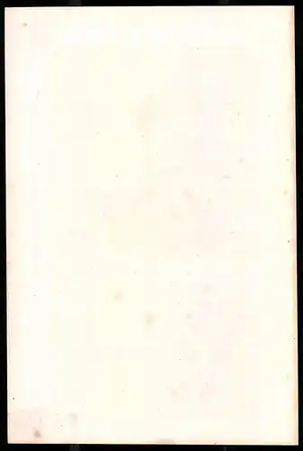 Lithographie Karl Theodor Körner, Lithographie um 1835 aus Saxonia, 28 x 19cm