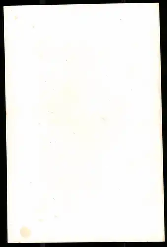 Lithographie Georg der Bärtige, Lithographie um 1835 aus Saxonia, 28 x 19cm